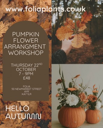 Pumpkin Flower Arrangement Workshop - Folia, Newmarket Street, Ayr